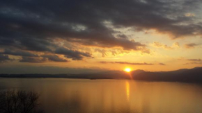 The View